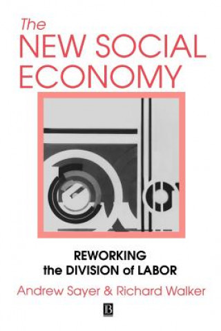 Kniha new Social Economy: Reworking the Division of Labor Andrew Sayer