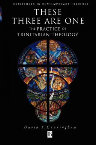 Carte These Three are One - The Practice of Trinitarian Theology David S. Cunningham