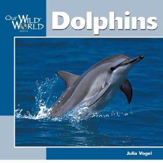 Kniha Dolphins Julia Vogel