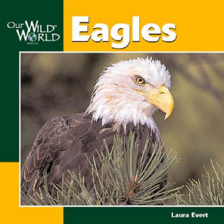 Kniha Eagles Laura Evert