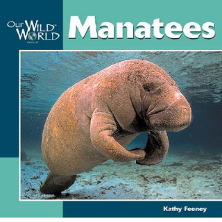 Książka Manatees Kathy Feeney