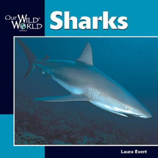 Carte Sharks Laura Evert
