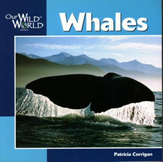 Carte Whales Patricia Corrigan