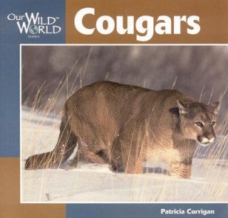 Könyv Cougars Patricia Corrigan
