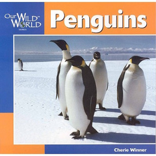 Kniha Penguins Cherie Winner