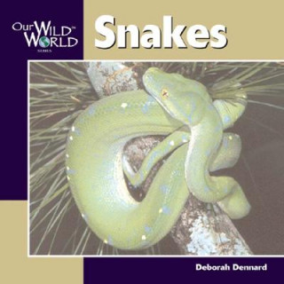 Kniha Snakes Deborah Dennard