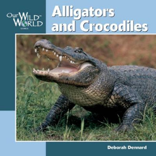 Könyv Alligators and Crocodiles Deborah Dennard