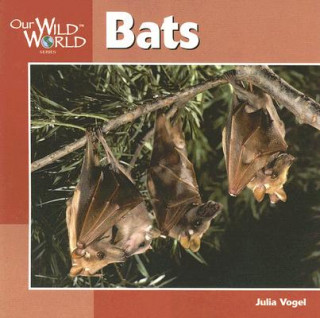 Livre Bats Julia Vogel