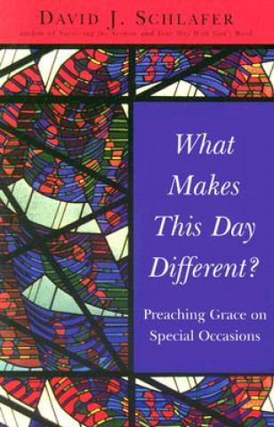 Carte What Makes This Day Different? David J. Schlafer