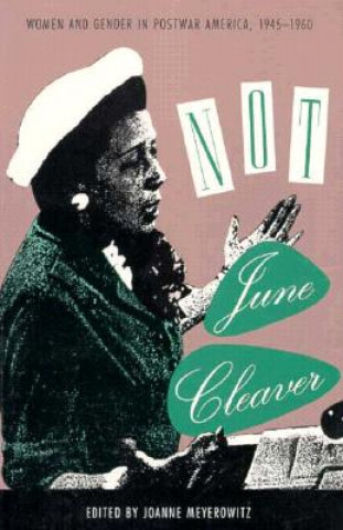 Könyv Not June Cleaver June Meyerowitz