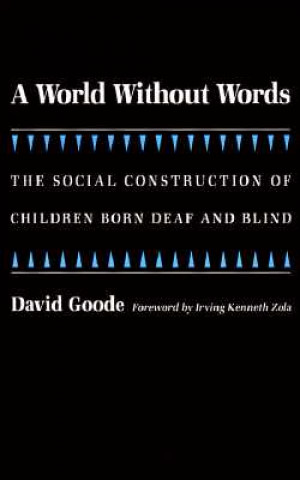 Kniha World without Words David Goode