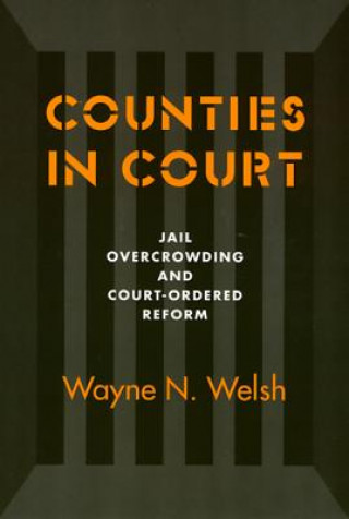 Kniha Counties in Court Wayne N. Welsh