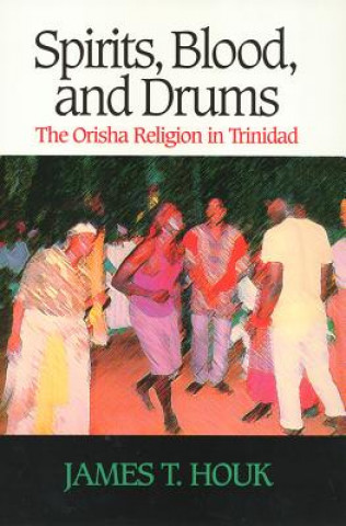 Knjiga Spirits, Blood and Drums James T. Houk