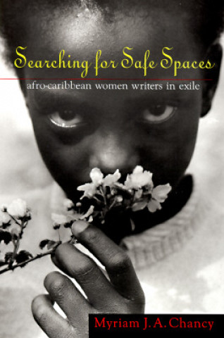 Kniha Searching for Safe Spaces Myriam J. A. Chancy