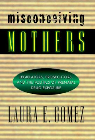 Knjiga Misconceiving Mothers Laura E. Gomez