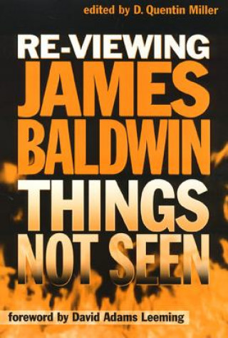 Könyv Re-Viewing James Baldwin Quentin Miller