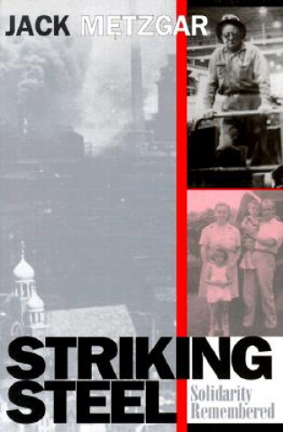 Livre Striking Steel Jack Metzgar