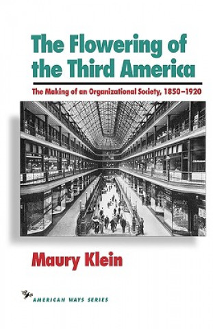 Kniha Flowering of the Third America Maury Klein