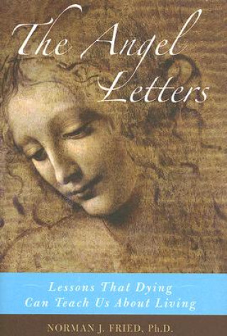 Knjiga Angel Letters Norman J. Fried