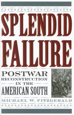 Kniha Splendid Failure Michael W. Fitzgerald