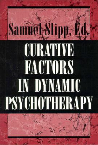 Książka Curative Factors in Dynamic Psychotherapy Samuel Slipp