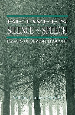 Kniha Between Silence and Speech Nathan T. Lopes Cardozo