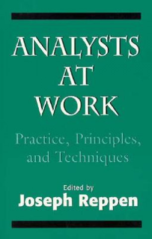 Książka Analysts at Work Joseph Reppen