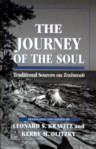 Kniha Journey of the Soul Leonard S. Kravitz