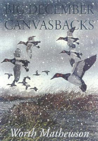 Könyv Big December Canvasbacks, Revised Worth Mathewson