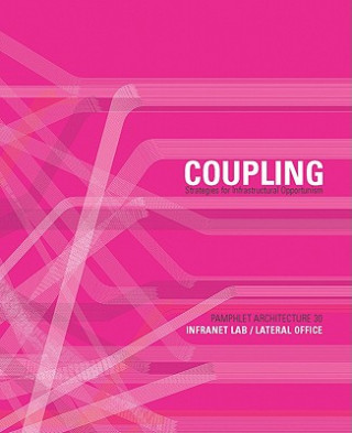 Knjiga Pamphlet Architecture 30: Coupling Mason White