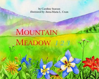 Książka Mountain Meadow 123 Caroline Stutson