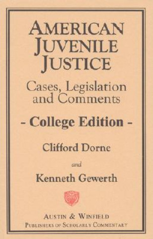 Book American Juvenile Justice Clifford Dorne