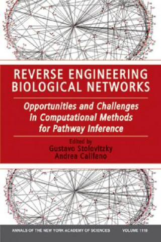 Buch Reverse Engineering Biological Networks Gustavo Stolovitzky