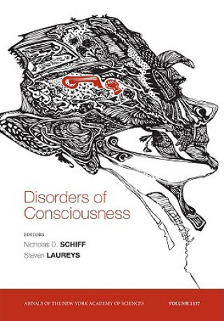 Carte Disorders of Consciousness Steven Laureys