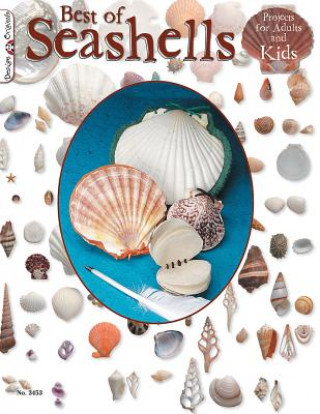 Kniha Best Book of Seashells Suzanne McNeill