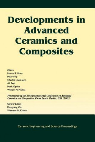 Buch Developments in Advanced Ceramics and Composites (Ceramic Engineering and Science Proceedings V26 Number 8) Brito