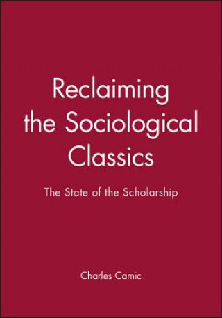 Knjiga Reclaiming the Sociological Classics - The State of the Scholarship Camic