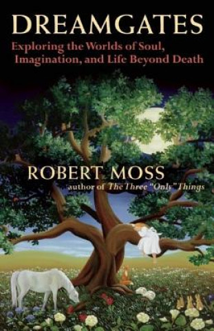 Книга Dreamgates Robert Moss