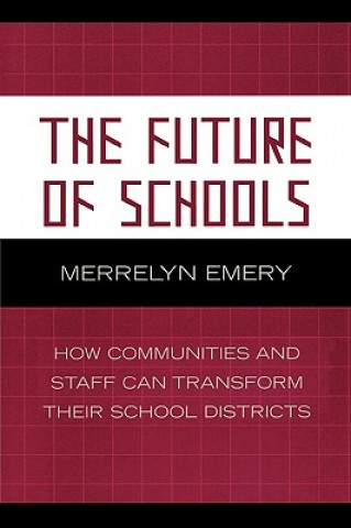 Книга Future of Schools Merrelyn Emery