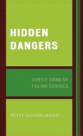 Knjiga Hidden Dangers Betsy Gunzelmann