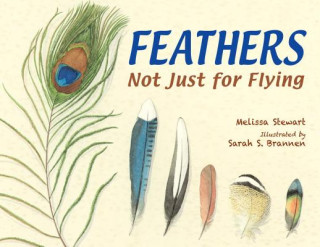 Książka Feathers Melissa Stewart