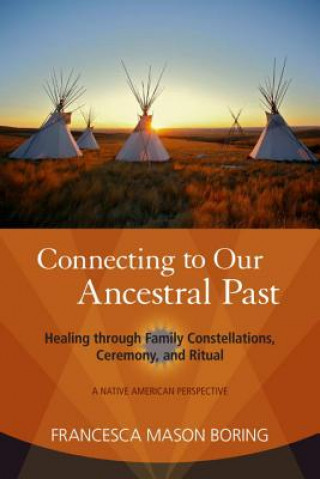 Könyv Connecting to Our Ancestral Past Francesca Mason Boring