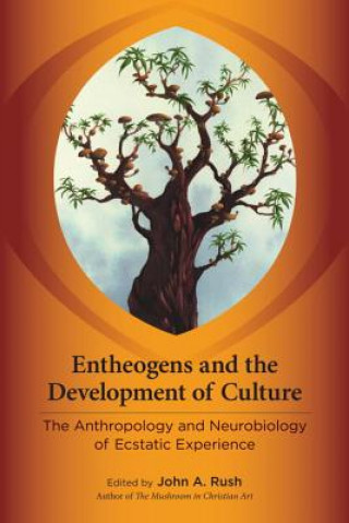Könyv Entheogens and the Development of Culture John Rush