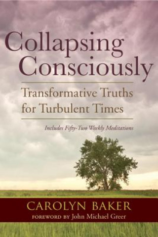 Kniha Collapsing Consciously Carolyn Baker