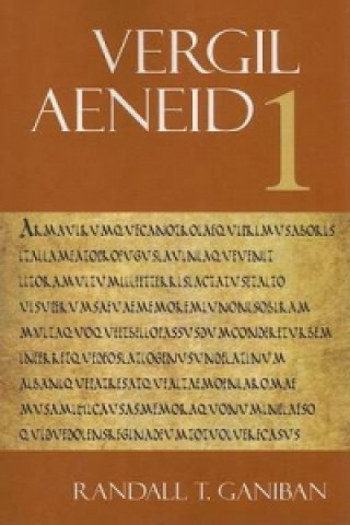 Carte Aeneid 1 Vergil