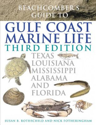 Könyv Beachcomber's Guide to Gulf Coast Marine Life Susan B. Rothschild