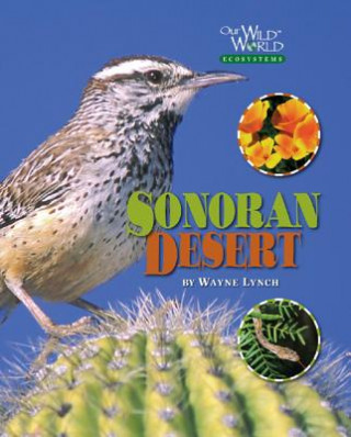 Knjiga Sonoran Desert Wayne Lynch