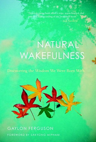 Kniha Natural Wakefulness Gaylon Jules Ferguson