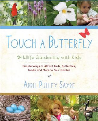 Kniha Touch a Butterfly April Pulley Sayre