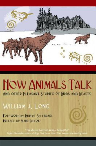 Könyv How Animals Talk William Long